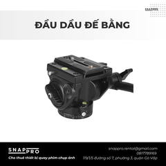Đầu Dầu Đế Bằng