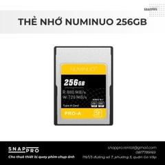 THẺ NHỚ NUMINO TYPE A 256GB 800MB/S