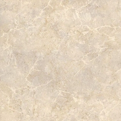 Gạch lát nền 02