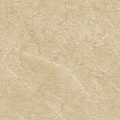 Gạch lát nền 03