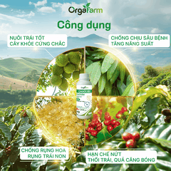Canxi Bo ORGAFARM Chống Rụng Trái, Nứt Trái - 0,5L