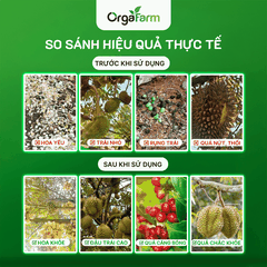 Canxi Bo ORGAFARM Chống Rụng Trái, Nứt Trái - 0,5L