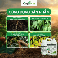 NPK Hữu Cơ OrgaFarm - Siêu Kích Rễ Bung Đọt - 5L