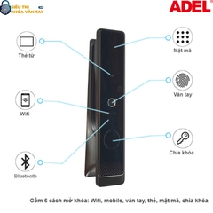 Khoá vân tay cửa gỗ Adel US13 - LB22B