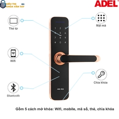 Khóa cửa điện tử Adel US12-LC10B/LB10B là dòng khóa thông minh thế hệ mới mang đến sự an toàn và tiện nghi cho ngôi nhà bạn