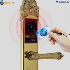 Khóa vân tay đại sảnh Osuno OSN-KBT04