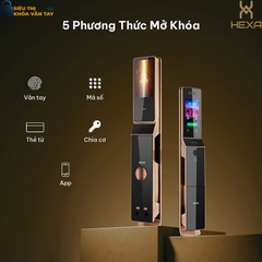 Khóa vân tay cửa gỗ Hexa P100s Pro