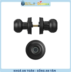 Khoá Vân Tay Cửa Phòng Demax SL106