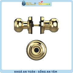 Khoá Vân Tay Cửa Phòng Demax SL106