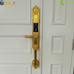 KL-979G tích hợp 5 phương thức mở khóa hiện đại: vân tay, mã số, thẻ từ, chìa cơ và điều khiển qua app Tuya.