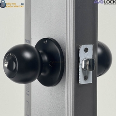 Khóa Vân Tay Avolock Cửa Phòng AT 102