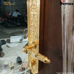 Khoá cửa đại sảnh Demax EL8862 hỗ trợ đa dạng phương thức mở khoá: vân tay, mã số, thẻ từ, chìa cơ và app điện thoại