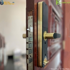Khóa hỗ trợ mở bằng vân tay, mật khẩu, thẻ từ và chìa cơ, tăng độ an toàn