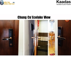 Khóa thông minh Kaadas S500/DD