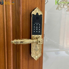Sản phẩm hỗ trợ 5 phương thức mở khóa gồm: vân tay, mã số, thẻ từ, chìa cơ và mở khóa qua app điện thoại