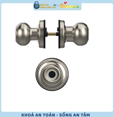 Khoá Vân Tay Cửa Phòng Demax SL106