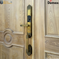 Với chất liệu cao cấp và kiểu dáng đẳng cấp, khoá Demax EL819 là điểm nhấn nổi bật cho cửa chính