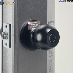 Khóa Vân Tay Avolock Cửa Phòng AT 102