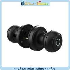 Khoá Vân Tay Cửa Phòng Demax SL106