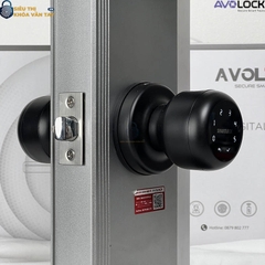 Khóa Vân Tay Avolock Cửa Phòng AT 104