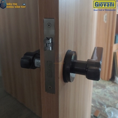 Khóa vân tay cửa phòng Giovani GSL-S3 màu đen