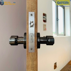 Khóa vân tay cửa phòng Giovani GSL-S3 màu đen