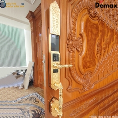 Với thiết kế chắc chắn, chất liệu cao cấp và kiểu dáng đẳng cấp, Demax EL988 phù hợp với biệt thự, villa, nhà phố sang trọng