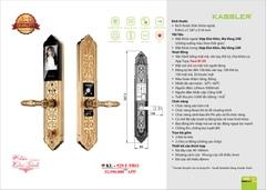 Thiết kế bản lớn, tay cầm sang trọng, tạo điểm nhấn mạnh mẽ cho cửa gỗ đại sảnh 2 cánh