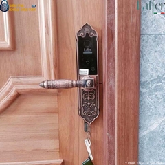 Khóa Vân Tay Đại Sảnh Laffer WB06