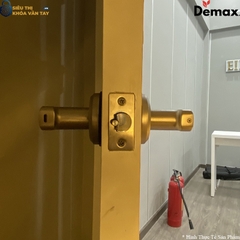 Khoá Vân Tay Cửa Phòng Demax SL108