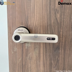 Khoá Vân Tay Cửa Phòng Demax SL109