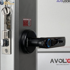 Khóa Vân Tay Avolock Cửa Phòng AT 103
