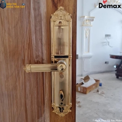 Khoá cửa đại sảnh Demax EL822 hỗ trợ mở bằng vân tay, mã số, thẻ từ, chìa cơ và app điện thoại