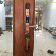 Thiết kế bản lớn, tay cầm chắc chắn, phối màu Rose Gold đẳng cấp – phù hợp với cửa đại sảnh gỗ 2 cánh