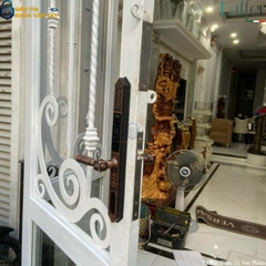 Khóa Vân Tay Cửa Cổng Laffer WA02