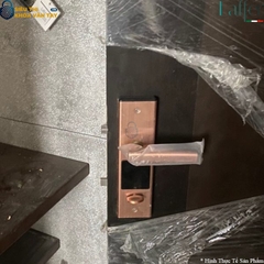 Khóa Vân Tay Khách Sạn Laffer DSH620