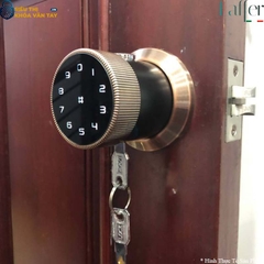 Khóa Vân Tay Cửa Phòng Laffer B12