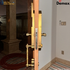 Khoá cửa đại sảnh Demax EL886 tích hợp 5 phương thức mở khoá: vân tay, mã số, thẻ từ, chìa cơ và app