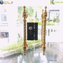 Khóa vân tay cửa kính Kassler KL-589 App