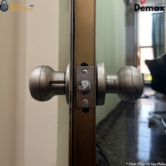 Khoá Vân Tay Cửa Phòng Demax SL106
