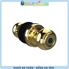 Khoá Vân Tay Cửa Phòng Demax SL106