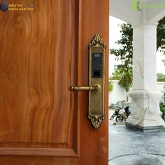 Với thiết kế tay cầm lớn, bản khóa dày, KL-959C tạo điểm nhấn đẳng cấp cho cửa gỗ đại sảnh