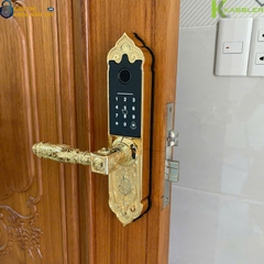Sản phẩm hỗ trợ 5 phương thức mở khóa gồm: vân tay, mã số, thẻ từ, chìa cơ và mở khóa qua app điện thoại