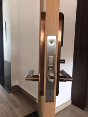 Khóa Vân Tay Khách Sạn Laffer DSH605