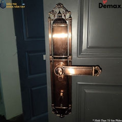 Khoá cửa đại sảnh Demax EL822 hỗ trợ mở bằng vân tay, mã số, thẻ từ, chìa cơ và app điện thoại