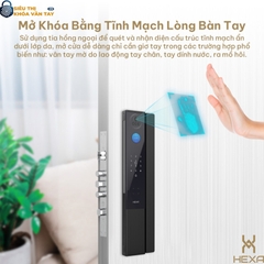 Khóa vân tay cửa gỗ Hexa P200 Pro Max