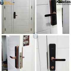 Khóa thông minh Kaadas S500/DD