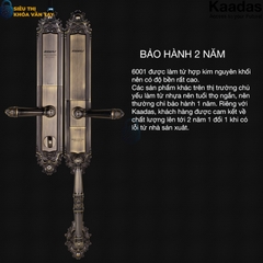 Khóa thông minh Kaadas 6001