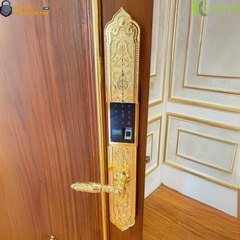 Sản phẩm hỗ trợ mở khóa bằng vân tay, mã số, thẻ từ, chìa cơ và điều khiển từ xa qua ứng dụng Tuya/Smart Life