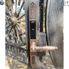 Khóa Vân Tay Cửa Cổng Laffer WA02